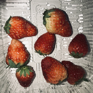 朱竹清把乳夹乖乖戴上被迫调教
